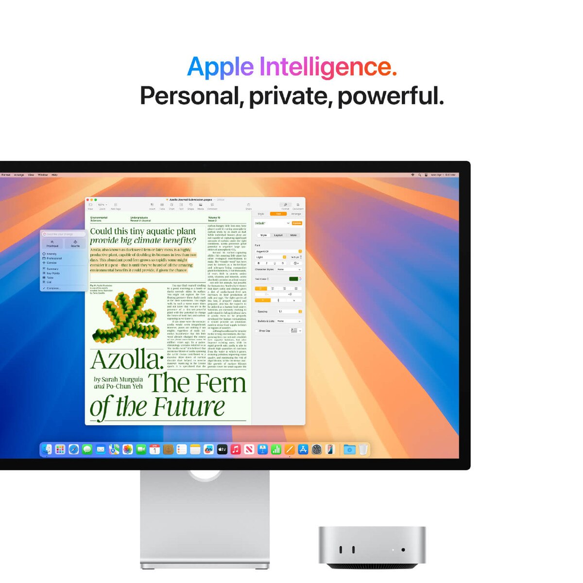 Apple Mac Mini (M4 Chip)